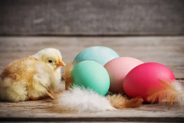 Κοτόπουλο και πασχαλινά αυγά σε ξύλινο φόντο — Φωτογραφία Αρχείου
