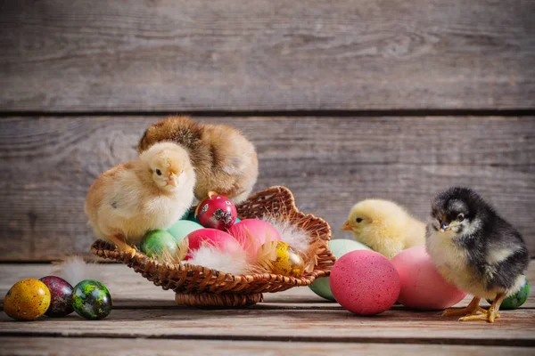 Chick Easter Eggs Wooden Background — Stock Photo, Image