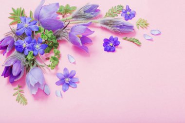 beautiful spring flowers on pink background clipart