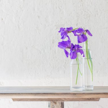 arka plan beyaz eski duvarda vazo içinde iris