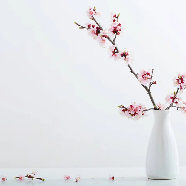 Ramo de cereja florido em vaso sobre fundo branco — Fotografia de Stock