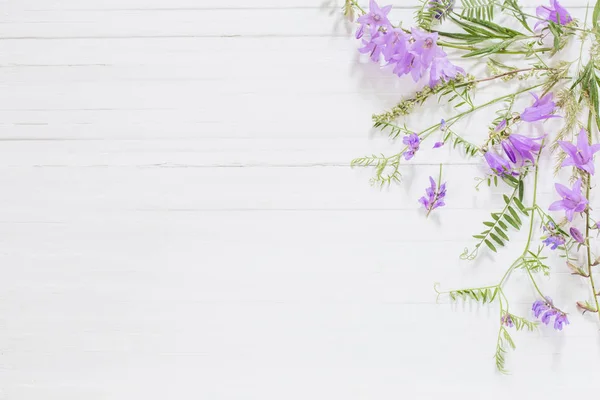 Bellflower na białym tle drewnianym — Zdjęcie stockowe