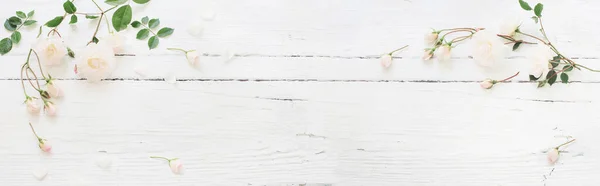 Rosor på vit trä bakgrund — Stockfoto