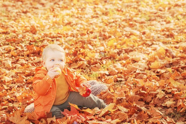 Bambino piccolo nel soleggiato parco autunnale — Foto Stock