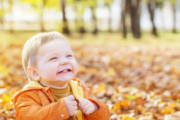 Pequeño bebé en el soleado parque de otoño —  Fotos de Stock