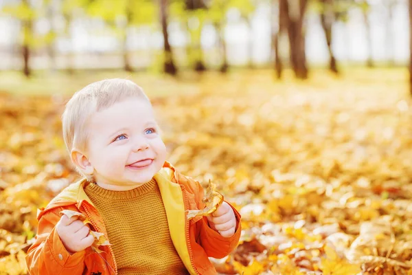 Pequeno bebê no ensolarado parque de outono — Fotografia de Stock