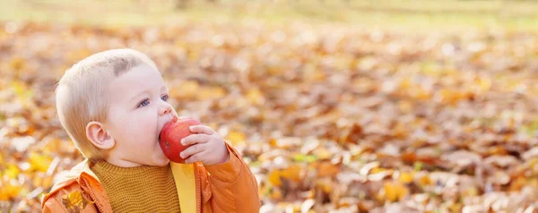 Pequeno bebê no ensolarado parque de outono — Fotografia de Stock