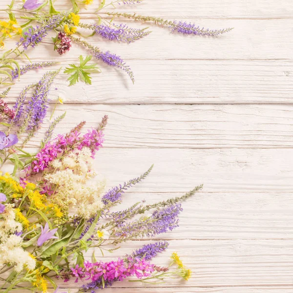 Fleurs sauvages sur fond de bois blanc — Photo