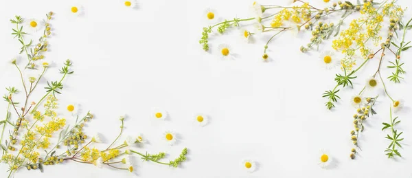 Beyaz kağıt arka plan üzerinde kır çiçekleri — Stok fotoğraf