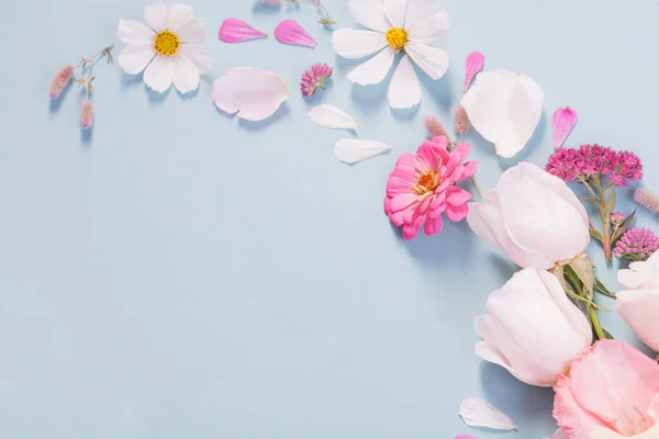 Летние цветы на голубом фоне бумаги — стоковое фото