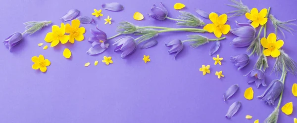 Purple Yellow Spring Flowers Violet Paper Background — Stock Photo, Image