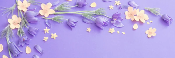 Roxo Amarelo Flores Primavera Fundo Papel Violeta — Fotografia de Stock