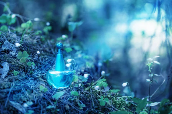 森の中のボトルに魔法の薬 — ストック写真