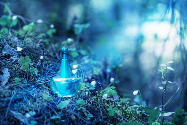 magic potion on bottle in forest