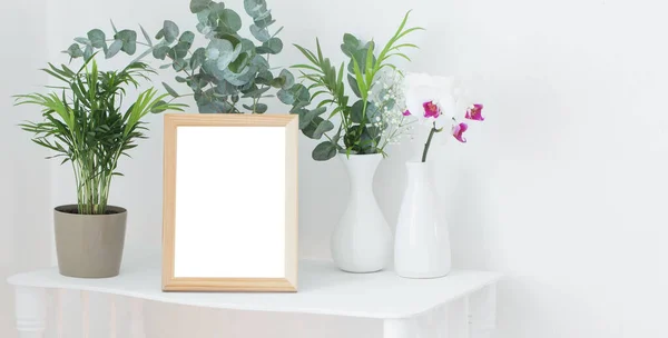 Wooden Frame Vintage White Shelf Flowers Plants — Stock Photo, Image