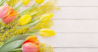 Lale ve Mimoza Beyaz ahşap zemin üzerinde