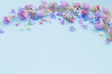 Mavi arka planda güzel bahar çiçekleri