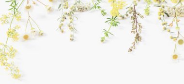 beyaz kağıt arka plan üzerinde kır çiçekleri