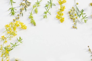 beyaz kağıt arka plan üzerinde kır çiçekleri