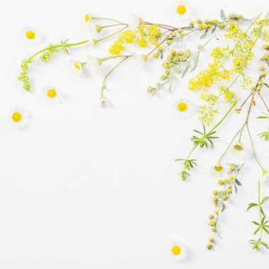 beyaz kağıt arka plan üzerinde kır çiçekleri