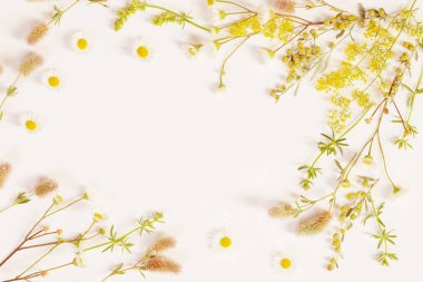 beyaz kağıt arka plan üzerinde kır çiçekleri