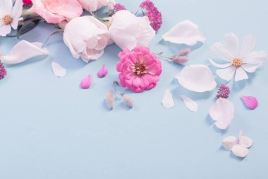 yaz çiçekleri mavi kağıt arka planda