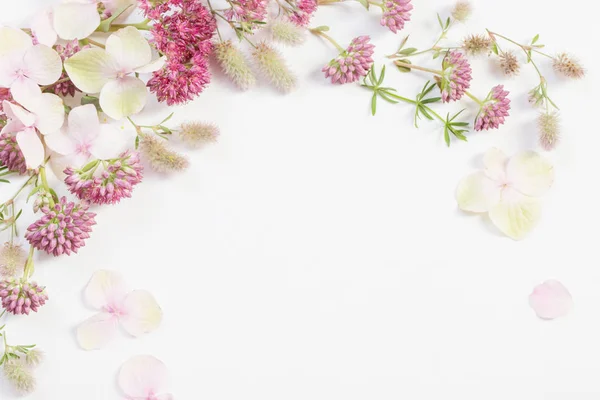 Beautiful Wildflowers White Paper Background — Stock Photo, Image