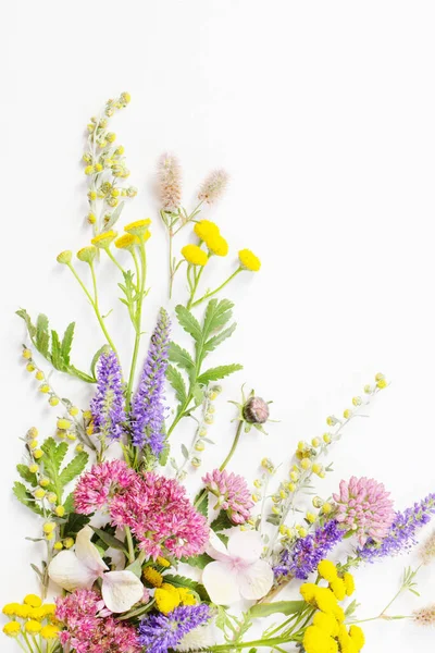 Nádherné Divoké Květiny Pozadí Bílého Papíru — Stock fotografie