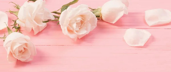 Rosas Blancas Sobre Fondo Madera Rosa — Foto de Stock