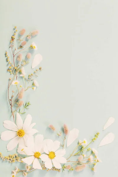 Weiße Blumen Auf Papier Hintergrund — Stockfoto