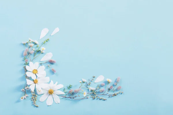 Flores Blancas Sobre Fondo Papel Azul —  Fotos de Stock