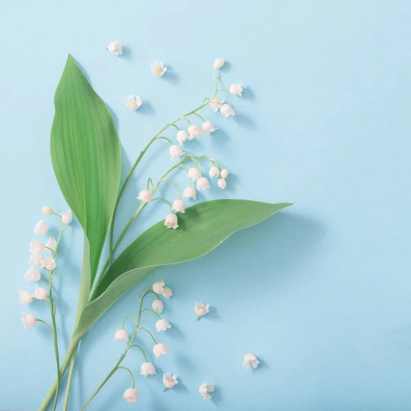 Bunga Lili Lembah Dengan Latar Belakang Biru — Stok Foto