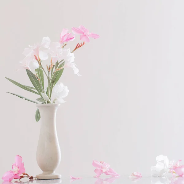 Roze Witte Oleander Vaas — Stockfoto