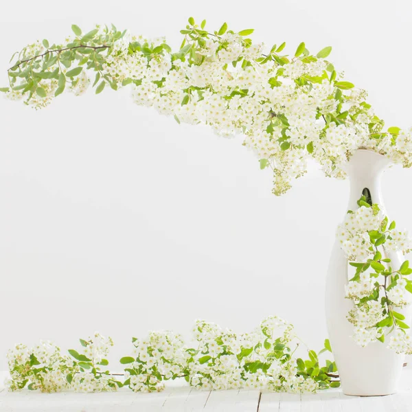 Flores Primavera Vaso Fundo Branco — Fotografia de Stock