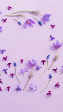 Kağıt arka plan bahar çiçekleri