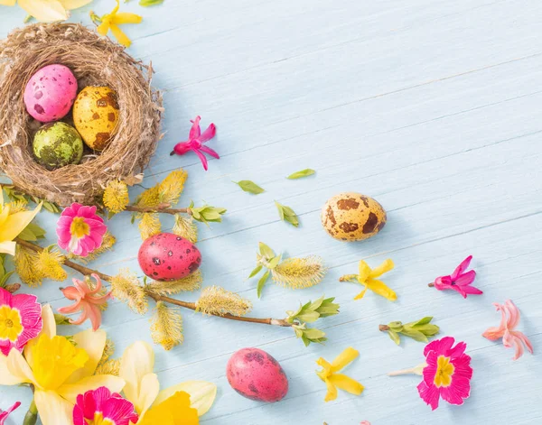 Húsvéti Tojások Fészekben Fából Készült Háttér Tavaszi Virágokkal — Stock Fotó