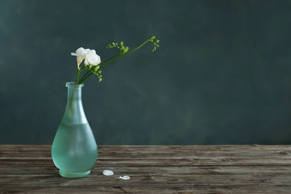 White Freesia Glass Vase Dark Background — Stock Photo, Image