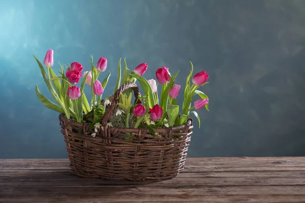 Tulips Old Basket Blue Background — Stock Photo, Image