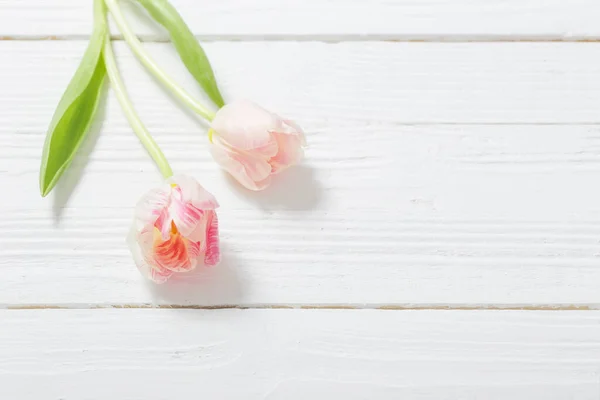 Two Tulips White Wooden Background — Stock Photo, Image