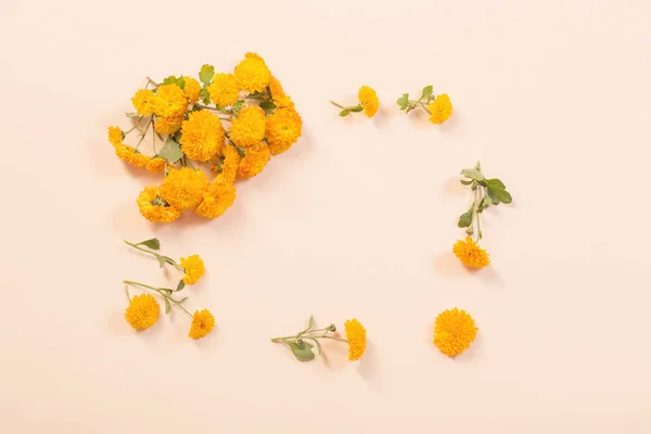 Orange Chrysanthemen Auf Gelbem Papier Hintergrund — Stockfoto