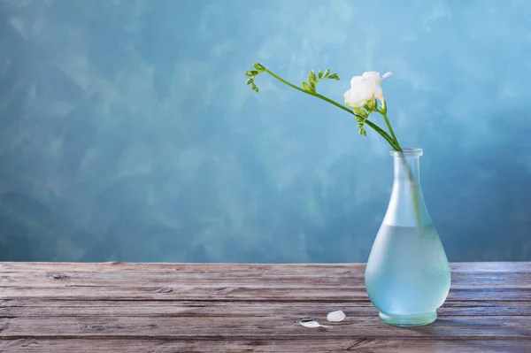 White Freesia Glass Vase Dark Background — Stock Photo, Image