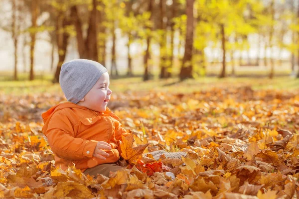 Kisbaba Napos Őszi Parkban — Stock Fotó