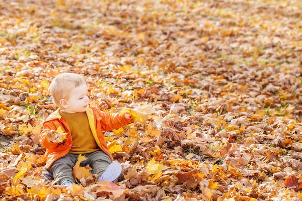 Petit Bébé Dans Parc Ensoleillé Automne — Photo