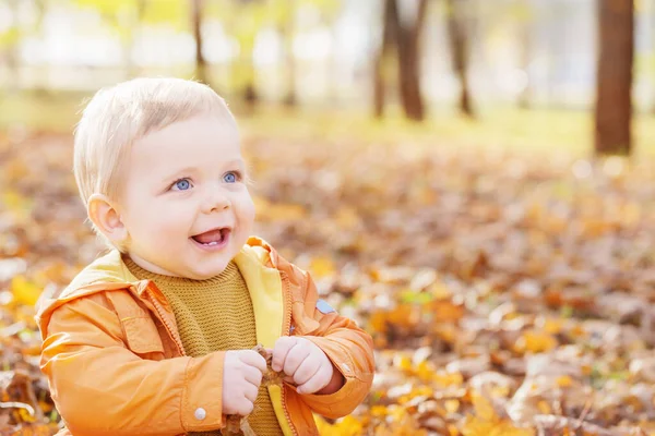 Petit Bébé Dans Parc Ensoleillé Automne — Photo