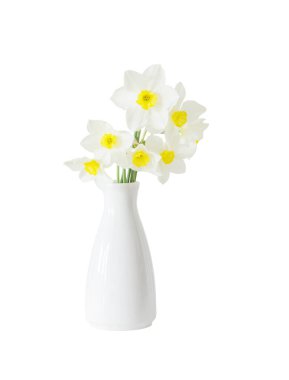 Beyaz arkaplanda izole vazodaki nergisler