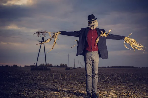 Espantapájaros Campo Otoño Contra Cielo Tarde —  Fotos de Stock