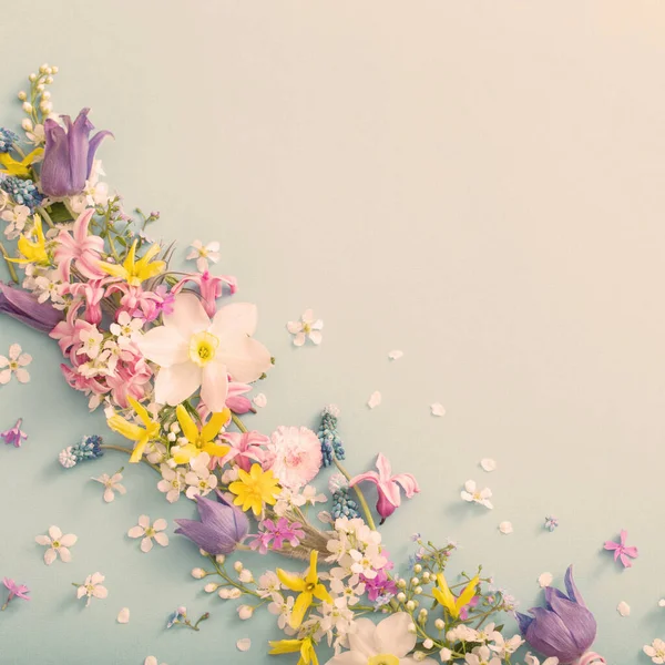 Hermosas Flores Primavera Sobre Fondo Papel — Foto de Stock