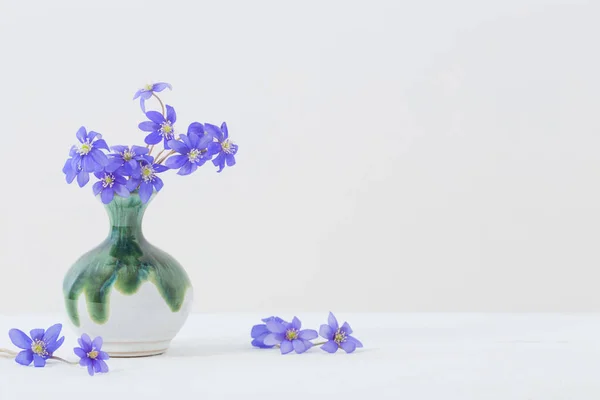 Kék Tavaszi Virágok Kerámia Váza Fehér Háttér — Stock Fotó