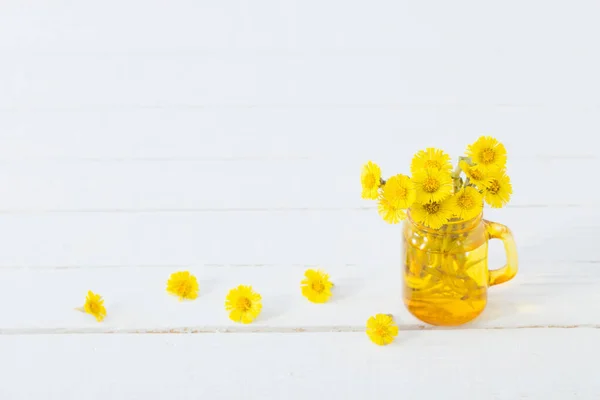 Coltsfoot Flores Frasco Amarelo Fundo Branco — Fotografia de Stock