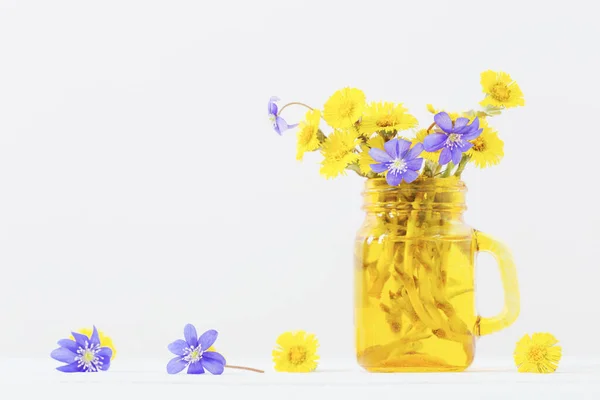 Lentebloemen Gele Pot Witte Achtergrond — Stockfoto